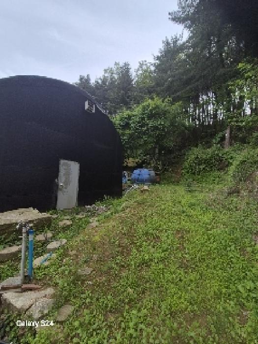 서울 서초구 원지동 임야 경매 물건 사진