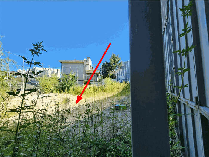 서울 강남구 역삼동 대지 경매 물건 사진 5 · 2025타경2829