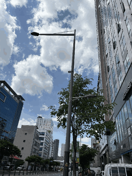 서울 관악구 신림동 상가,오피스텔,근린시설 경매 물건 사진 6 · 2026타경100816