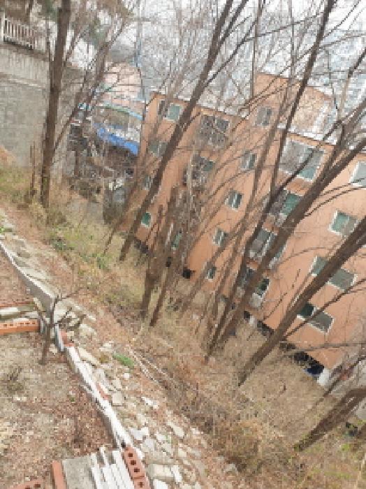 서울 성동구 하왕십리동 임야 경매 물건 사진