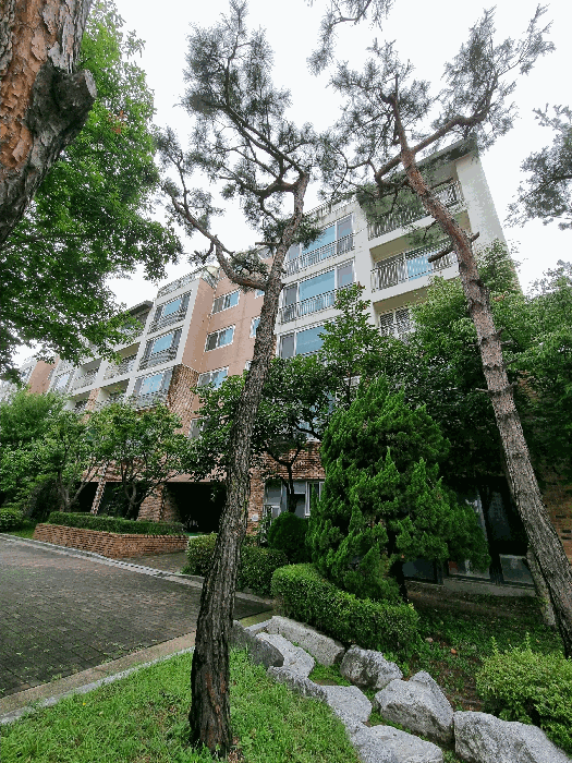 서울 광진구 광장동 연립주택,다세대,빌라 경매 물건 사진 6 · 2025타경51964
