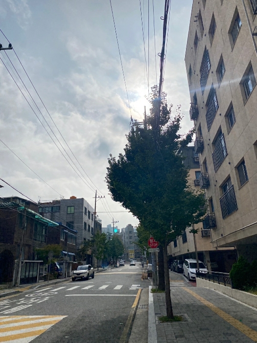 서울 영등포구 신길동 근린생활시설 경매 물건 사진 5 · 2024타경137274