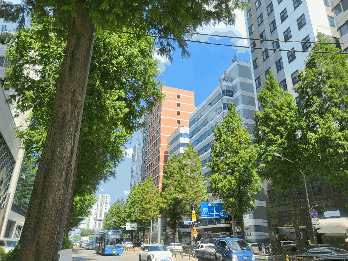 서울 강서구 화곡동 오피스텔 경매 물건 사진 6 · 2025타경11838