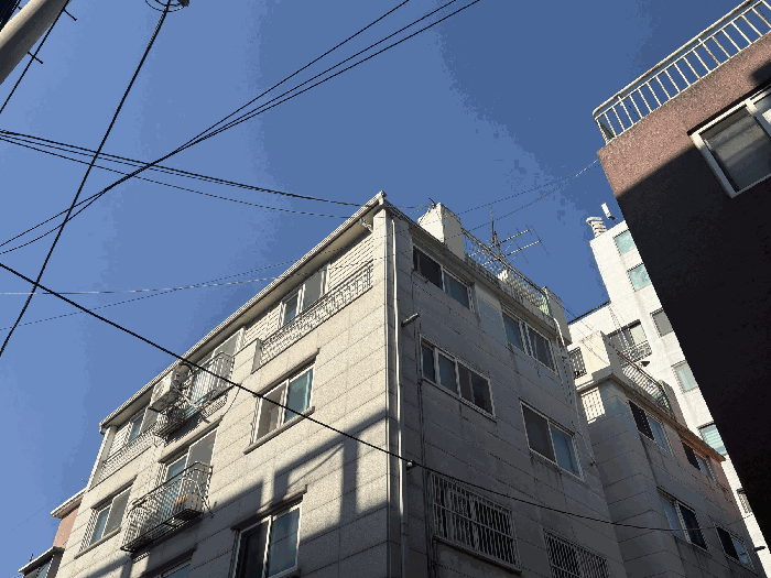 서울 강서구 화곡동 다세대주택 경매 물건 사진 5 · 2025타경13166