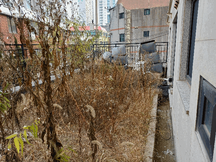 서울 영등포구 신길동 오피스텔 경매 물건 사진 6 · 2025타경13397