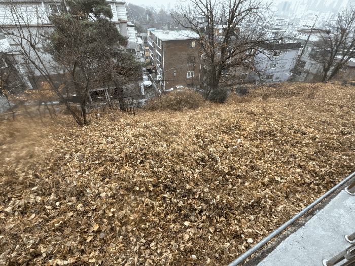 서울 강서구 화곡동 대지 경매 물건 사진 5 · 2025타경13561