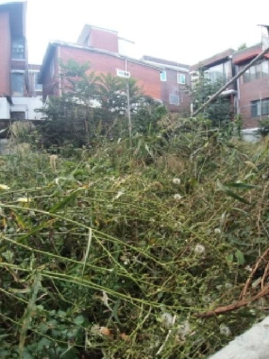 서울 구로구 가리봉동 대지 경매 물건 사진