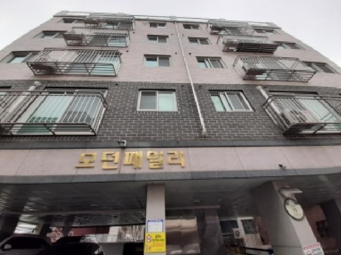 서울 금천구 시흥동 다세대주택 경매 물건 사진