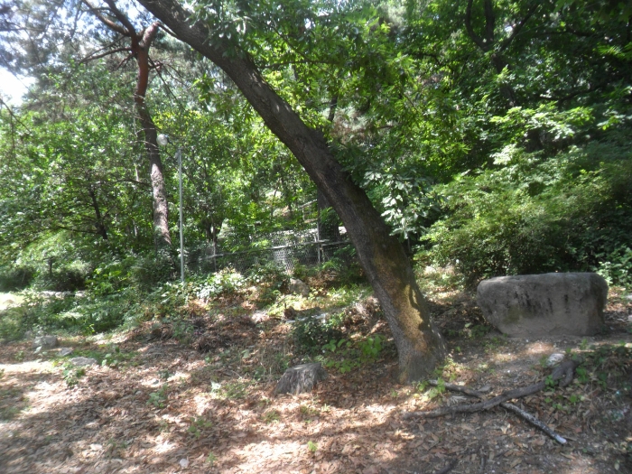 서울특별시 강북구 수유동 산121 임야 경매 물건 사진