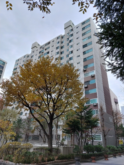 서울특별시 노원구 중계로 233 104동 3층304호 (중계동,청구아파트) 아파트 경매 물건 사진