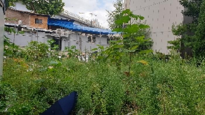 서울 성북구 하월곡동 대지 경매 물건 사진