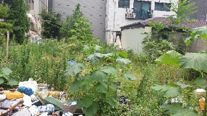 서울 성북구 하월곡동 대지 경매 물건 사진 5 · 2025타경12832