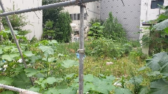 서울 성북구 하월곡동 대지 경매 물건 사진 6 · 2025타경12832