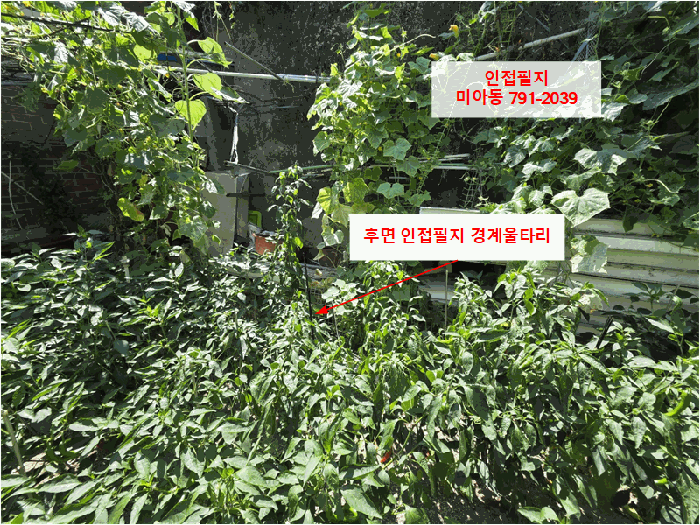 서울 강북구 미아동 대지 경매 물건 사진 6 · 2025타경12992