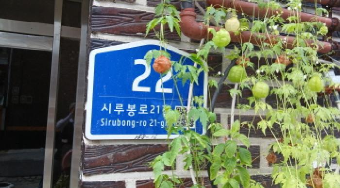 서울 도봉구 방학동 연립주택,다세대,빌라 경매 물건 사진