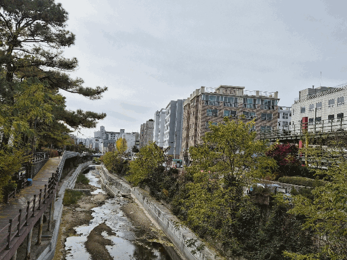 서울 도봉구 쌍문동 상가,오피스텔,근린시설 경매 물건 사진 6 · 2025타경4015