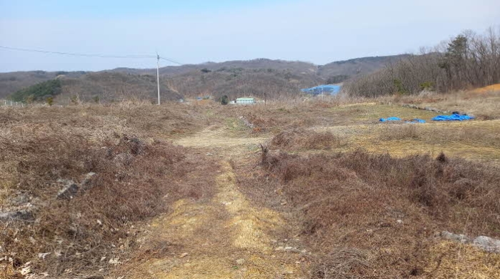 경기 연천군 미산면 임야 경매 물건 사진 4 · 2024타경1838