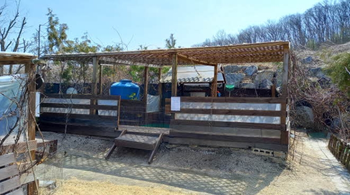 경기 연천군 미산면 임야 경매 물건 사진 5 · 2024타경1838