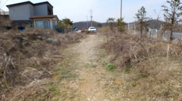 경기 연천군 미산면 임야 경매 물건 사진 6 · 2024타경1838