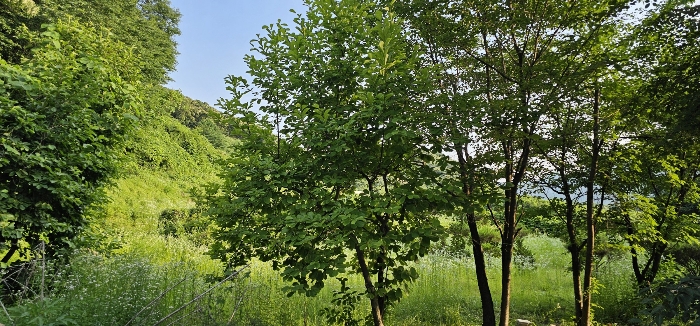 경기도 의정부시 산곡동 산64-3 임야 경매 물건 사진