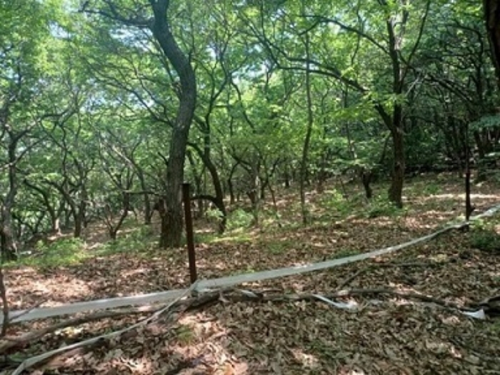 경기 의정부시 산곡동 임야 경매 물건 사진