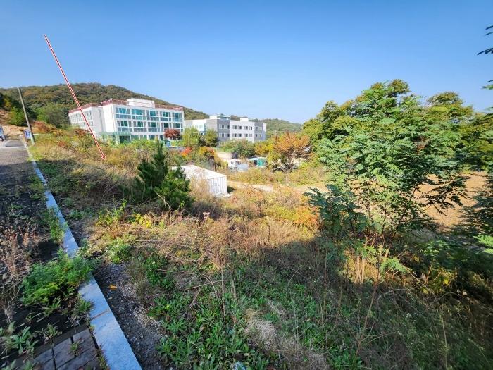 경기 양주시 은현면 임야 경매 물건 사진 2 · 2024타경88057