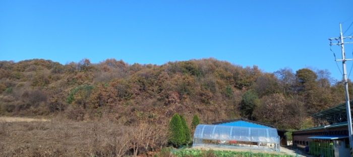 경기 연천군 신서면 임야 경매 물건 사진 2 · 2024타경88163