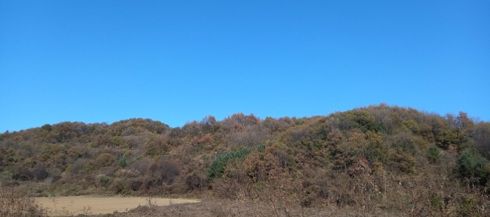 경기 연천군 신서면 임야 경매 물건 사진 3 · 2024타경88163