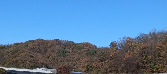 경기 연천군 신서면 임야 경매 물건 사진 6 · 2024타경88163