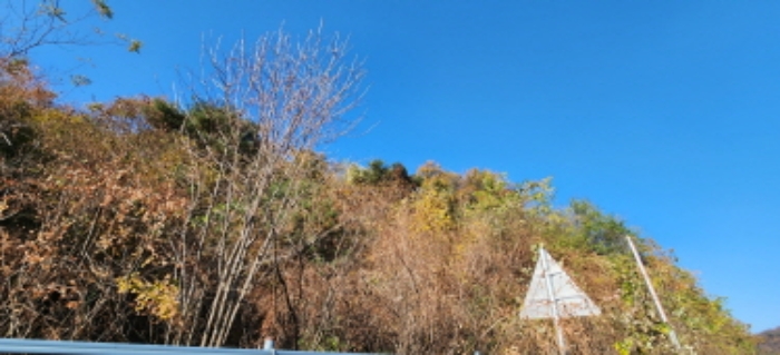 경기 양주시 장흥면 임야 경매 물건 사진 3 · 2024타경88798