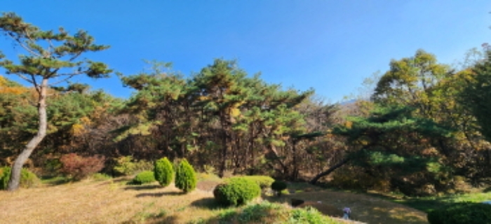 경기 양주시 장흥면 임야 경매 물건 사진 6 · 2024타경88798
