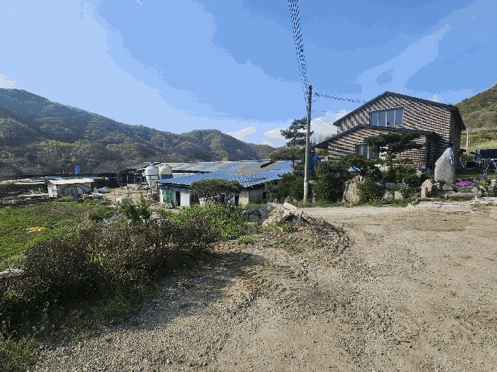 경기 연천군 전곡읍 전 경매 물건 사진 5 · 2025타경1484
