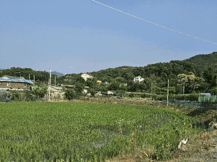 경기 포천시 군내면 단독주택 경매 물건 사진