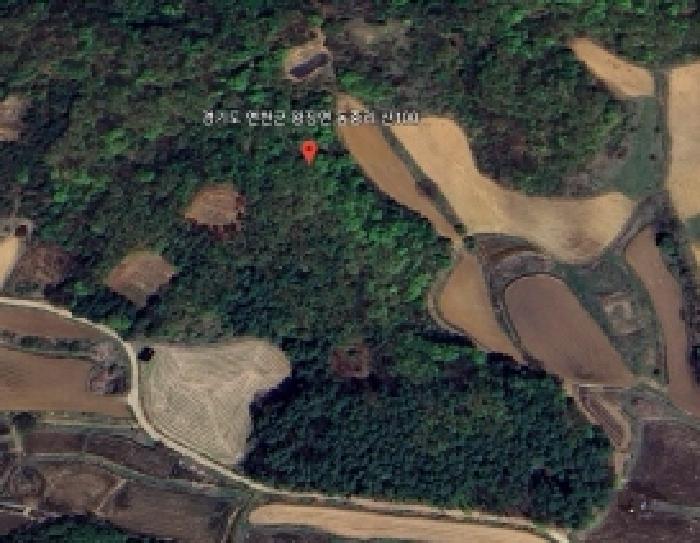 경기 연천군 왕징면 묘지 경매 물건 사진 3 · 2025타경3152
