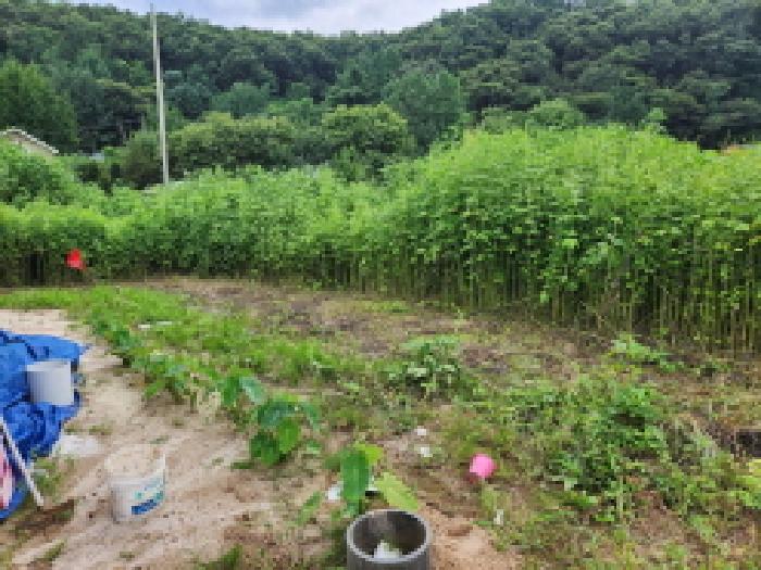 경기 동두천시 광암동 전 경매 물건 사진 5 · 2025타경3473