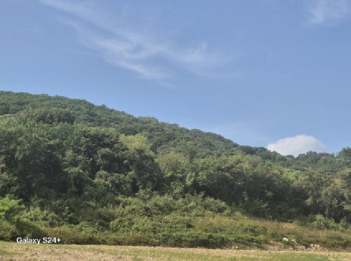 경기 포천시 영중면 하천 경매 물건 사진 6 · 2025타경3701