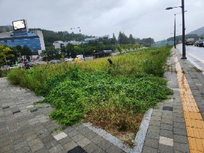 경기 양주시 마전동 대지 경매 물건 사진