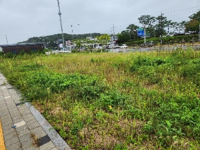 경기 양주시 마전동 대지 경매 물건 사진 2 · 2025타경4087