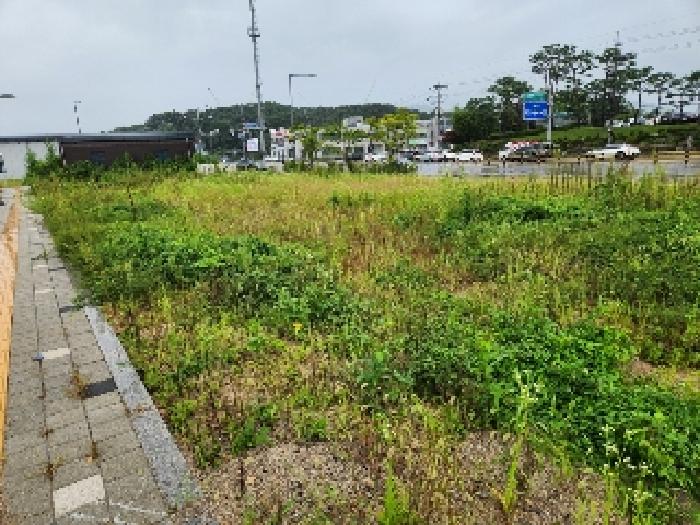 경기 양주시 마전동 대지 경매 물건 사진 3 · 2025타경4087