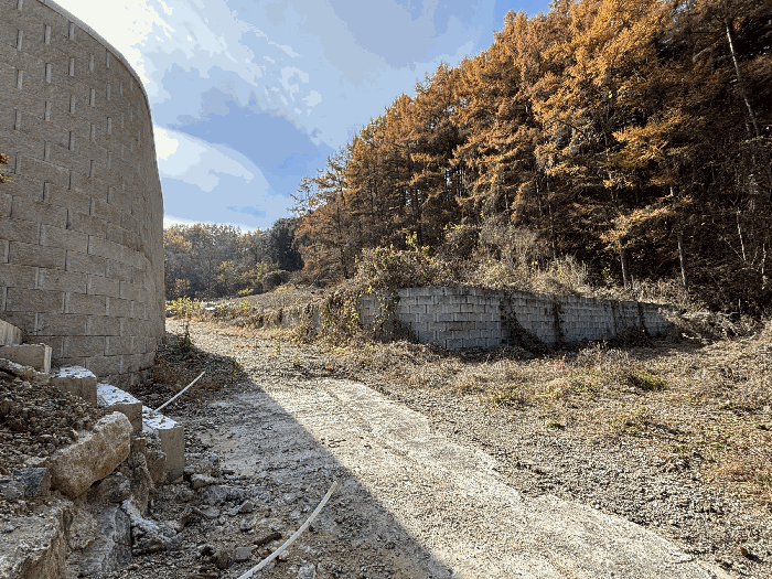 경기도 포천시 군내면 직두리 184 대지,임야,전답 경매 물건 사진