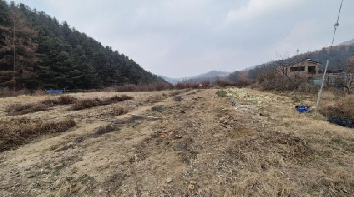 경기 포천시 군내면 대지,임야,전답 경매 물건 사진 4 · 2025타경5127