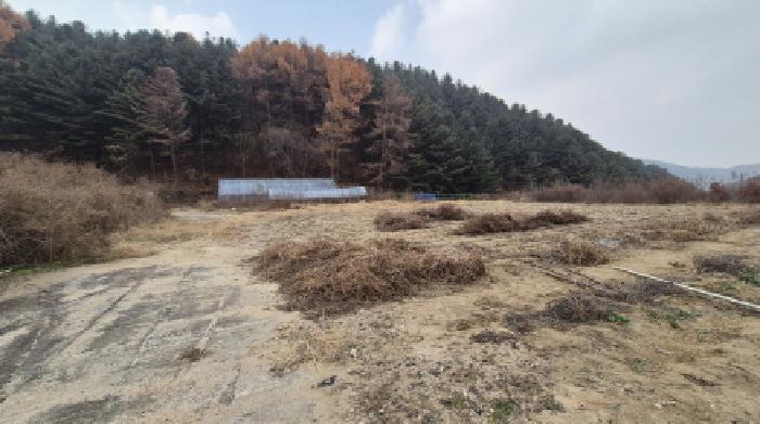 경기 포천시 군내면 대지,임야,전답 경매 물건 사진 5 · 2025타경5127