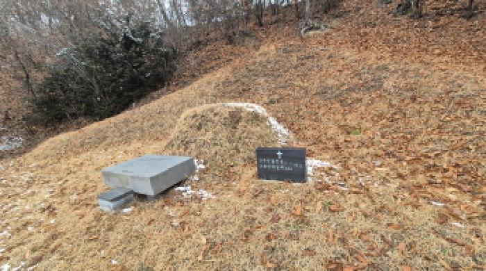 경기 포천시 화현면 대지,임야,전답 경매 물건 사진 6 · 2025타경5400