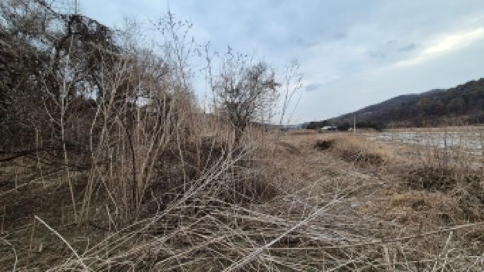 경기 포천시 창수면 도로 경매 물건 사진 4 · 2025타경5578