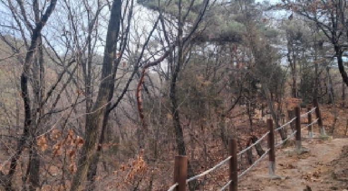 경기 의정부시 장암동 임야 경매 물건 사진 2 · 2025타경5929