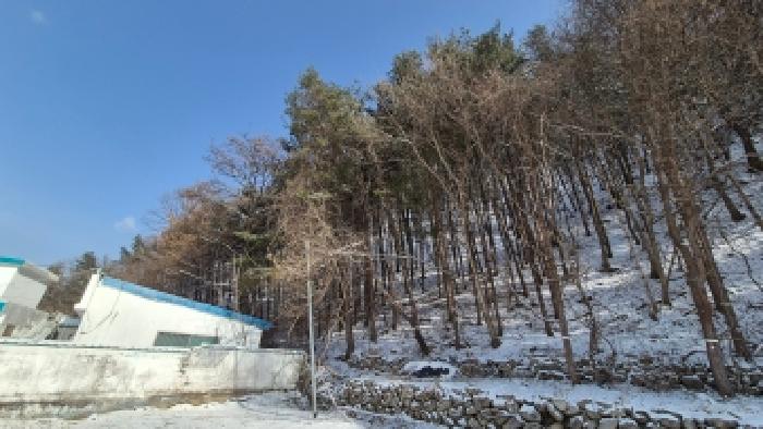 경기 포천시 이동면 임야 경매 물건 사진 2 · 2025타경5981
