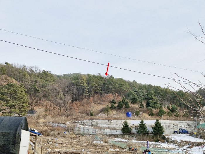 경기도 양주시 산북동 산11 임야 경매 물건 사진