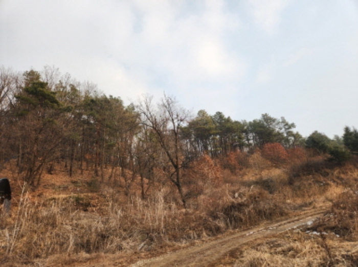 경기 양주시 산북동 임야 경매 물건 사진 2 · 2025타경70404