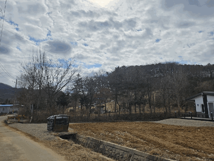 경기도 연천군 청산면 궁평리 412 전 경매 물건 사진