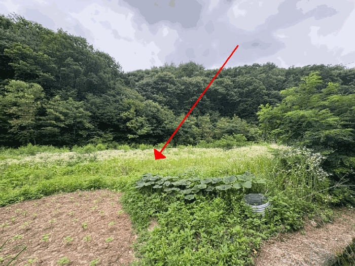 경기도 포천시 이동면 장암리 178 대지 경매 물건 사진